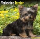 Image for Yorkshire Terrier Puppies Calendar 2016