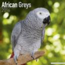 Image for African Greys Calendar 2016