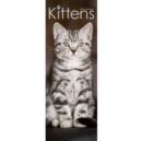 Image for Kittens Slim Calendar 2016