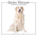 Image for Golden Retriever Studio Calendar 2016