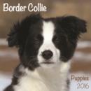 Image for BORDER COLLIE PUPPIES M 2016 CALENDAR