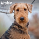 Image for Airedale Calendar 2017