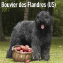 Image for Bouvier des Flandres (US) Calendar 2017