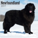 Image for Newfoundland Calendar 2017