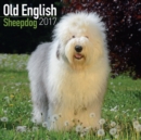 Image for Old English Sheepdog Calendar 2017