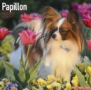 Image for Papillon Calendar 2017