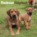 Image for Rhodesian Ridgeback Calendar 2017