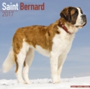Image for Saint Bernard Calendar 2017