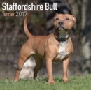 Image for Staffordshire Bull Terrier Calendar 2017