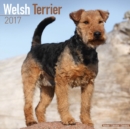 Image for Welsh Terrier Calendar 2017