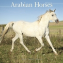 Image for Arabian Horses Calendar 2017