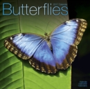 Image for Butterflies Calendar 2017