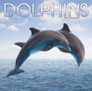 Image for Dolphins Calendar 2017