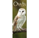 Image for Owls Slim Calendar 2017