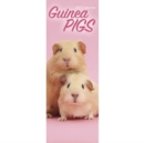 Image for Guinea Pigs Slim Calendar 2017