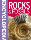 Image for Mini Encyclopedia - Rocks &amp; Fossils