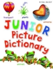 Image for A192 Junior Picture Dictionary