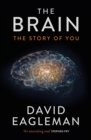Image for The Brain : The Story of You