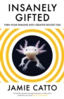 Image for Insanely Gifted: Turn Your Demons Into Creative Rocket Fuel