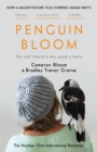 Image for Penguin bloom: the odd little bird who saved a family