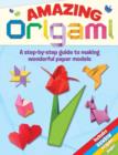 Image for Amazing Origami : A Step-by-step Guide to Making Wonderful Paper Models