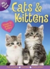 Image for Cats &amp; Kitens Poster Book