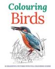 Image for Colouring Birds