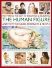 Image for Mastering the Art of Drawing &amp; Painting the Human Figure