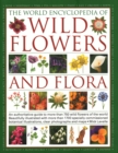 Image for Wild Flowers &amp; Flora, The World Encyclopedia of