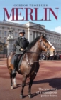 Image for Merlin: the true story of a courageous police horse