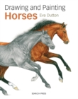 Image for Drawing and Painting Horses