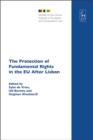 Image for The protection of fundamental rights in the EU after Lisbon : volume 15