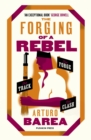 Image for The forging of a rebel