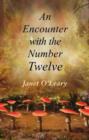 Image for Encounter with the Number Twelve