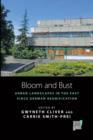 Image for Bloom and bust: urban landscapes in the East since German reunification
