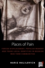 Image for Places of pain  : forced displacement, popular memory and trans-local identities in Bosnian war-torn communities