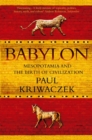 Image for Babylon: Mesopotamia and the birth of civilization