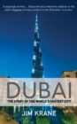 Image for Dubai  : the story of the world&#39;s fastest city