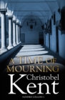 Image for A Time of Mourning