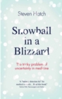Image for Snowball in a Blizzard