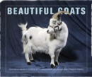Image for Beautiful goats  : portraits of classic breeds preened to perfection