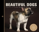 Image for Beautiful dogs: portraits of classic breeds