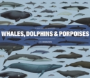 Image for Whales, Dolphins and Porpoises