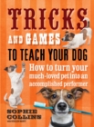 Image for Tricks and games to teach your dog