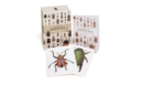 Image for A Box of Beetles : 100 Beautiful Postcards