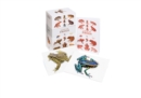 Image for A Box of Frogs : 100 Beautiful Postcards