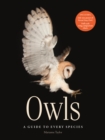 Image for Owls  : a guide to every species