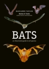 Image for Bats  : an illustrated guide to all species