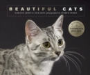 Image for Beautiful cats