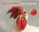 Image for Beautiful chickens  : portraits of champion breeds